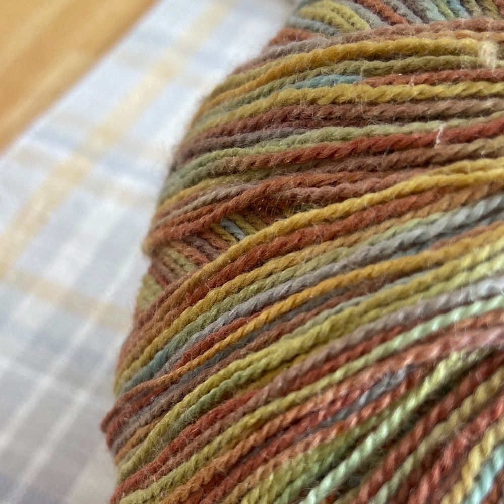 JUNIPER MOON FARM Findley Dappled Yarn - Multicolor merino/silk - Picture 6 of 7